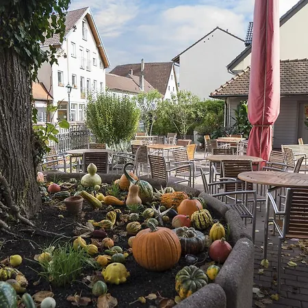 Badischer Hof Hotell 3*