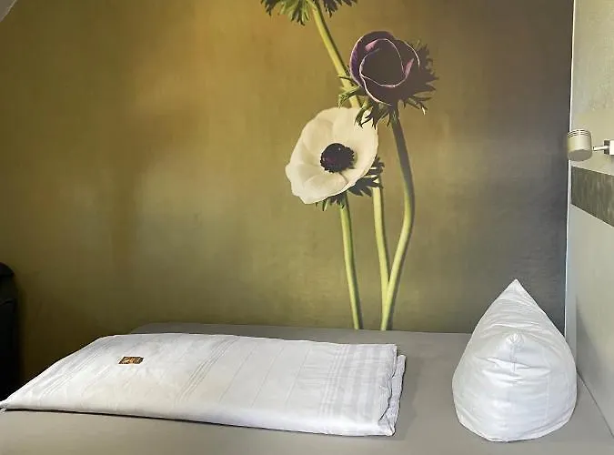 巴迪瑟霍夫酒店 3* 布尔