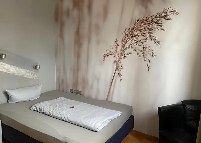 酒店 巴迪瑟霍夫酒店 3*