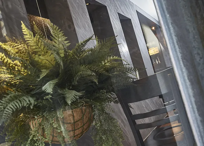 巴迪瑟霍夫酒店 3*