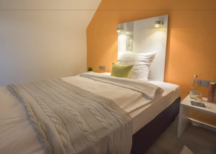 巴迪瑟霍夫酒店 3*