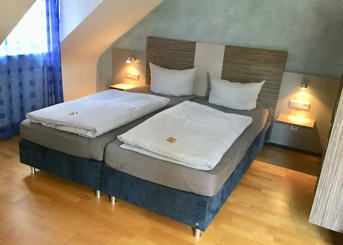 巴迪瑟霍夫酒店 3*