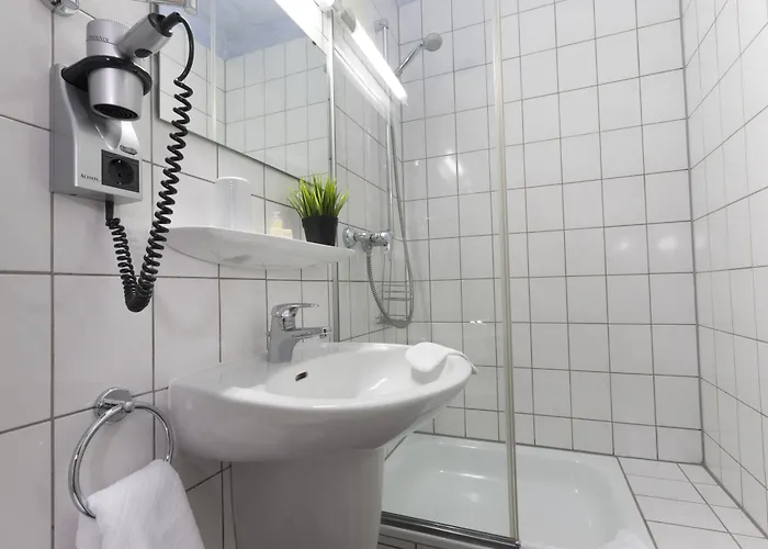 巴迪瑟霍夫酒店 酒店 布尔