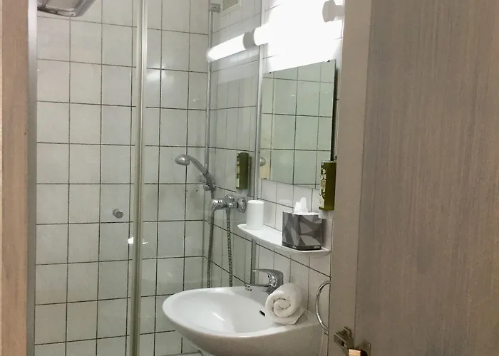 巴迪瑟霍夫酒店 3* 布尔