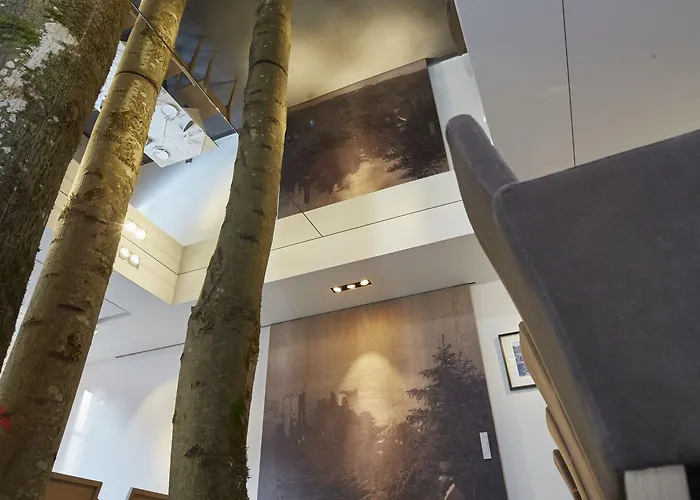 巴迪瑟霍夫酒店 3*