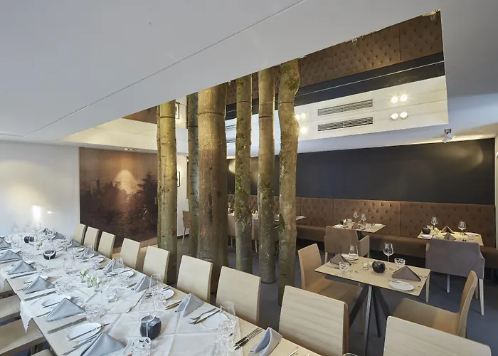 巴迪瑟霍夫酒店 酒店 布尔