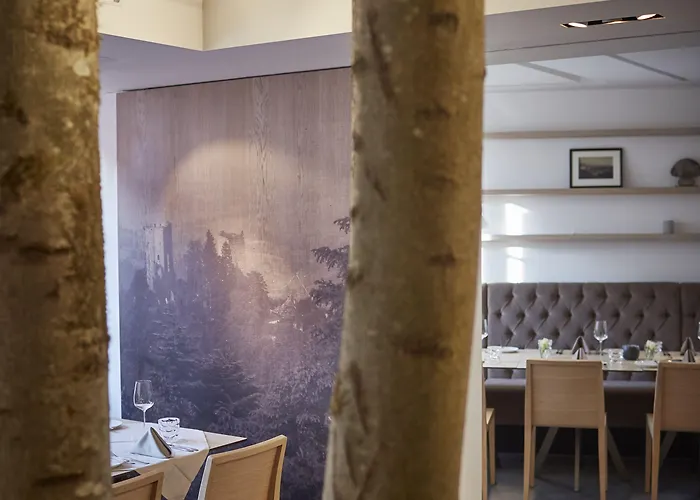 巴迪瑟霍夫酒店 酒店 布尔