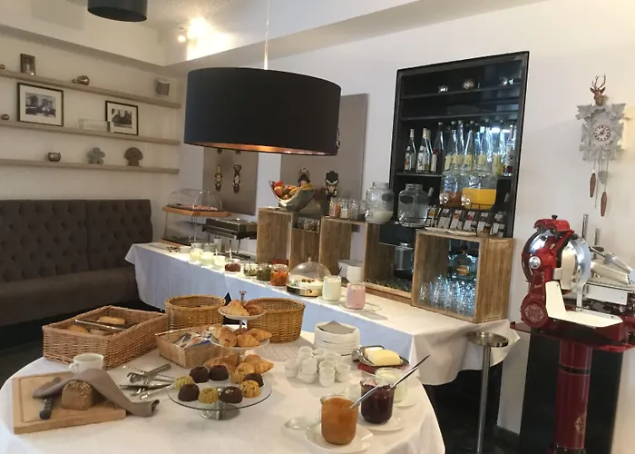 巴迪瑟霍夫酒店 3* 布尔