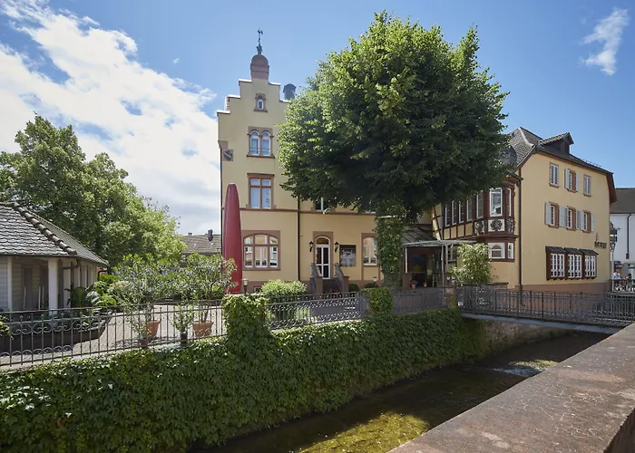 巴迪瑟霍夫酒店 酒店 布尔