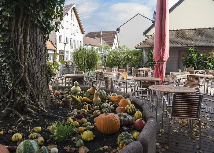 Badischer Hof Hotel 3*