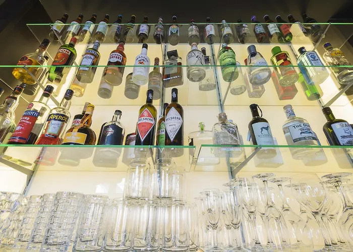 巴迪瑟霍夫酒店