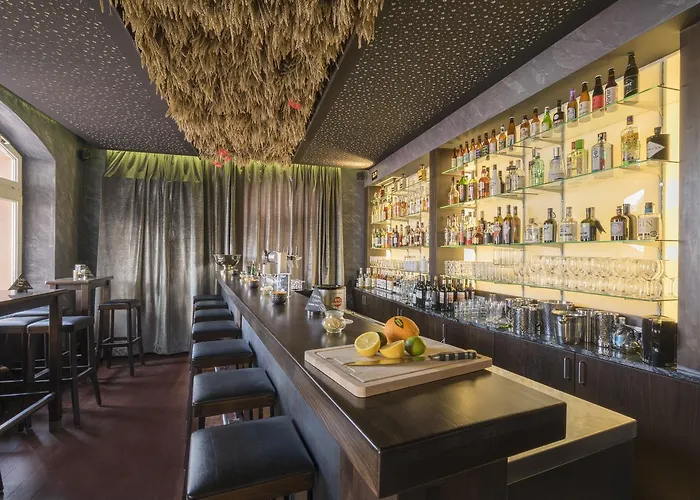 酒店 巴迪瑟霍夫酒店 布尔