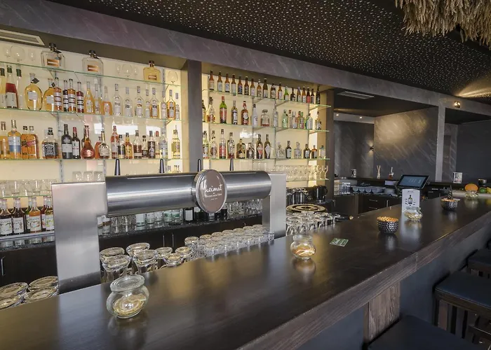 巴迪瑟霍夫酒店 3* 布尔