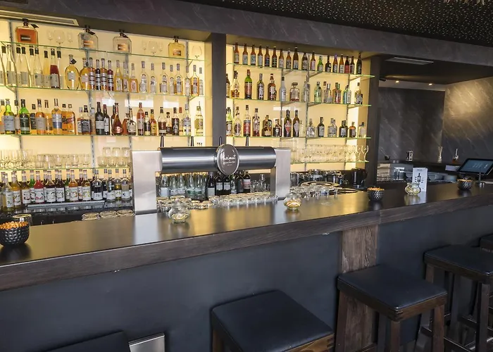 巴迪瑟霍夫酒店 酒店 布尔