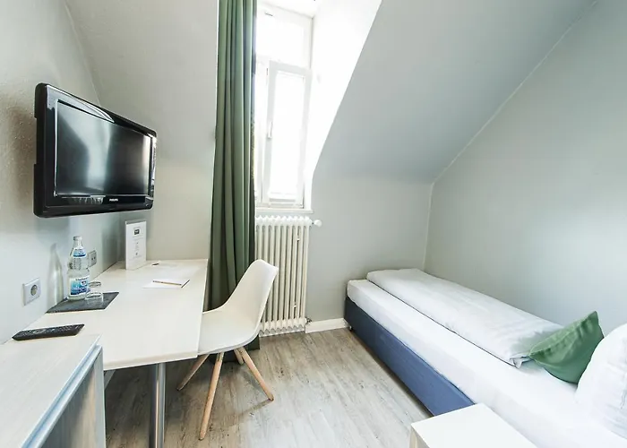 酒店 巴迪瑟霍夫酒店 3*